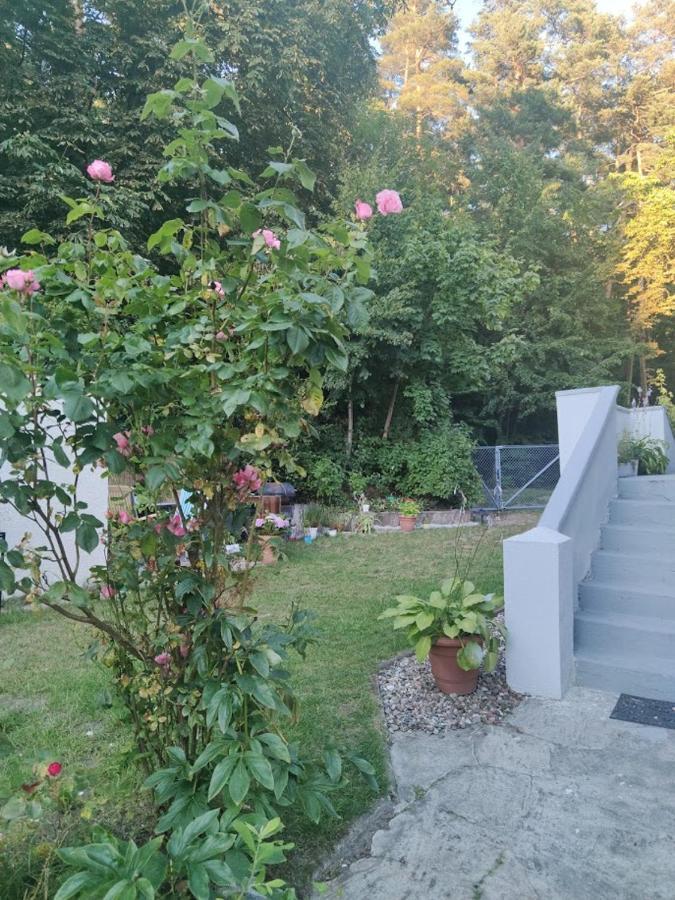 Apartament W Sasiedztwie Lasu 1800M Od Morza ソポト エクステリア 写真